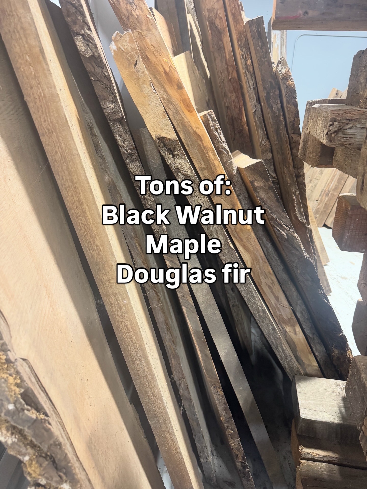 Live Edge Black Walnut Slabs